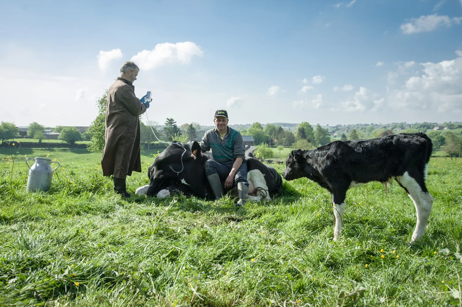 Vétérinaire - Rural : photo 3 sur 5