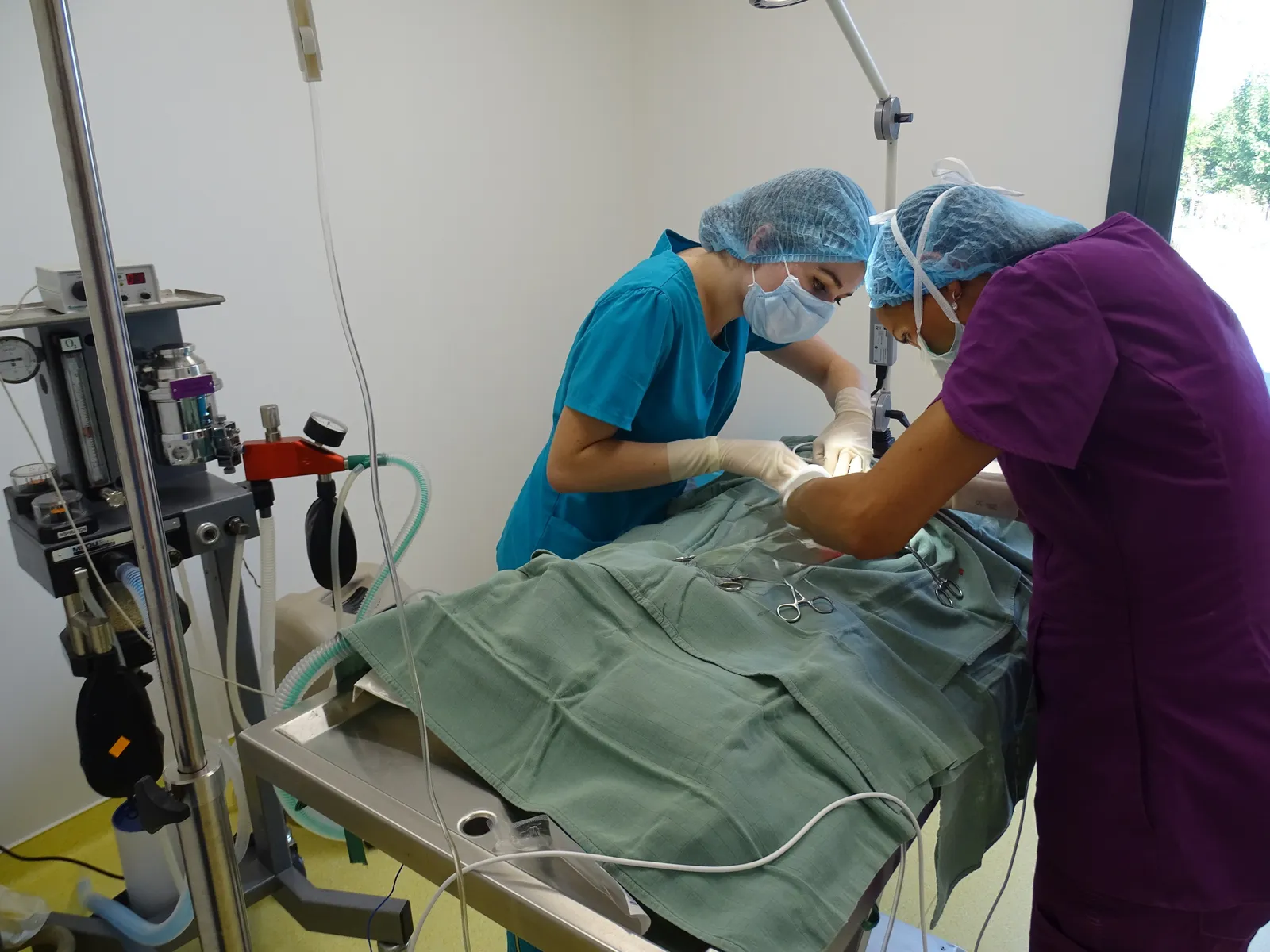 Vétérinaire : photo 5 sur 5