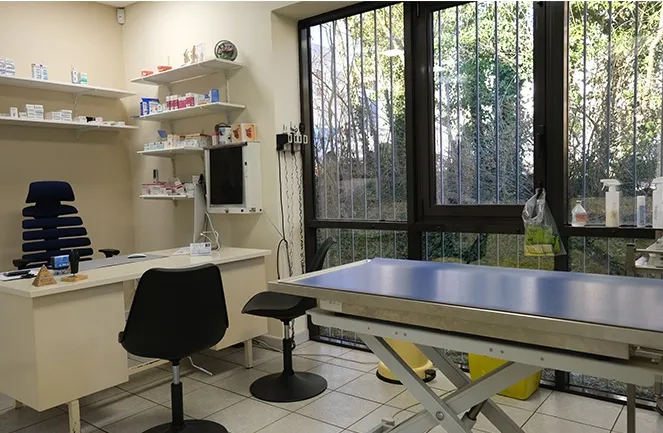 Vétérinaire - Canin : photo 3 sur 4