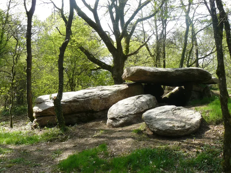 Saint-Jean-Brévelay : photo 3