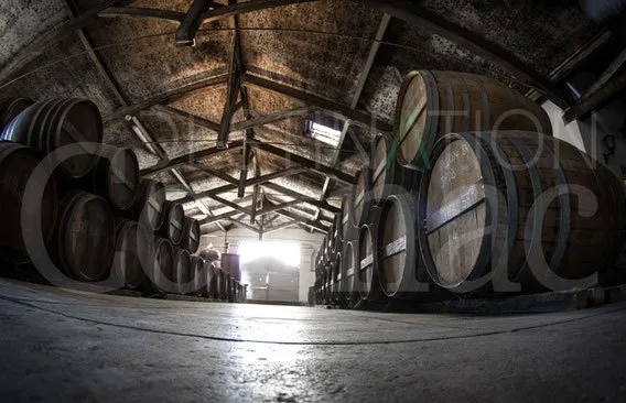 Photos de Cognac : photo 2 sur 3