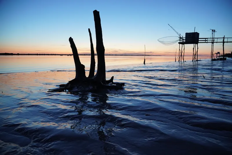 Blaye : photo 8