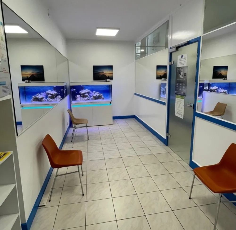 Chirurgien dentiste - Implantologie, Parodontologie, Chirurgie Muco-gingivale : photo 4 sur 5