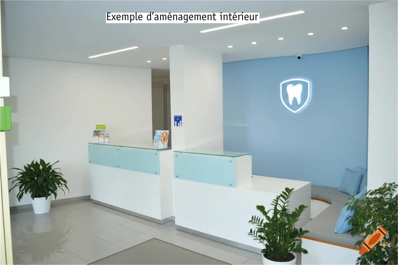 Chirurgien dentiste : photo 11 sur 12